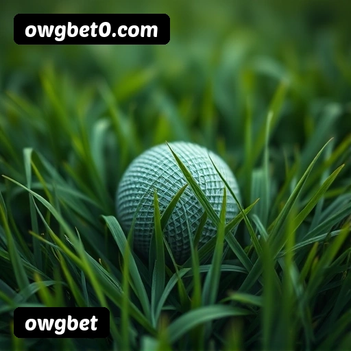 Tabela RTP dos jogos de cassino da owgbet