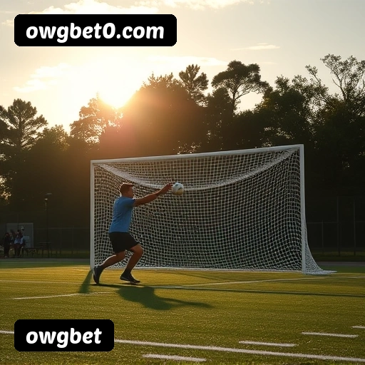 Níveis do programa VIP da owgbet